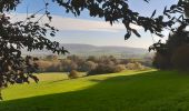 Tocht Stappen Heuvelland - Monts Rouge et Noir - Photo 1