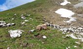 Randonnée Marche La Chapelle-d'Abondance - CORNETTES DE BISE: LAC DE DARBON - Photo 3