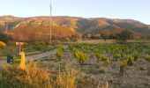 Tour Esel-Trekking Tuchan - cathare 3 Tuchan Duilhac sous peyrepertuse  - Photo 5