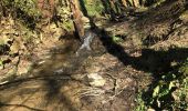 Tour Wandern Sprimont - Cascade de CHANXHE 11Km - Photo 11