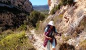 Randonnée Marche Duilhac-sous-Peyrepertuse - 7eme étape sentier cathare  - Photo 8