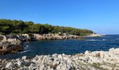 Randonnée Marche Antibes - Littoral du cap d’Antibes  - Photo 19