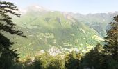 Randonnée Marche Cauterets - Plateau du Lisey - Photo 13