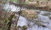 Tour Wandern La Roche-en-Ardenne - buisson - Photo 3