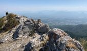 Tour Wandern Val-Buëch-Méouge - Pic de Saint Cyr / Antonaves - Photo 2