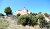 Excursión A pie Olesa de Montserrat - PR-C 168 Camí de Vilalba - Photo 1