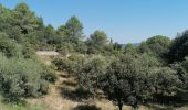 Tour Wandern La Roque-sur-Cèze - Village La Roque sur Cèze  - Photo 2