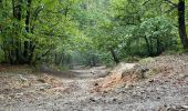 Randonnée Marche Meudon - la Forêt Domaniale de Meudon (2) - Photo 10