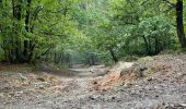 Tour Wandern Meudon - la Forêt Domaniale de Meudon (2) - Photo 10