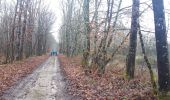 Tocht Noords wandelen Aubigny-sur-Nère - aubigny sur nere - Photo 13