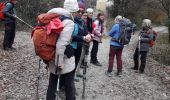 Percorso Marcia Montaulieu - montaulieu - Photo 1