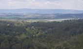 Randonnée Marche Peyrolles-en-Provence - loubatas-Camp Chinois-retour par les vallons - Photo 2