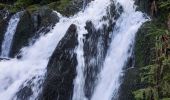 Tour Wandern Stoßweier - Saegmatt Cascade de Stolz Ablass Frankenthal - Photo 7