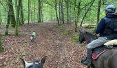 Trail Horseback riding Habay - Habay forêt d’Anlier - Photo 3