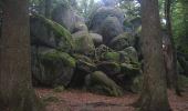 Tour Zu Fuß Furtwangen im Schwarzwald - Furtwangen - Escheck - Photo 4