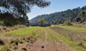 Tour Wandern Fontaine-de-Vaucluse - Les Hauteurs de la Fontaine - Photo 13