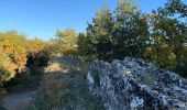 Percorso Marcia Vers-Pont-du-Gard - Autour du Pont du Gard - Photo 19