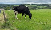 Trail Walking Rendeux - Marcouray - Photo 4