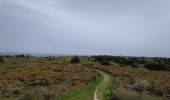 Tocht Stappen Quiberon - Quiberon jardin ancien sémaphore cote sauvage - Photo 3