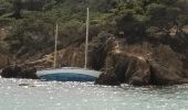 Tocht Stappen Hyères - Presqu'île de Giens est-03-06-22 - Photo 8