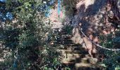 Trail Walking Saint-Raphaël - Pic d'Aurelle-Pic du Cap Roux - Grotte St Honorat depuis col Belle Barbe - Photo 1