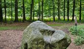 Trail Walking Vaals - 2022-11-11_17h47m43_wandelroute---cittaslow-rondje-viele - Photo 10