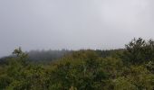 Excursión Marcha nórdica Prades-d'Aubrac - SityTrail - Sentier thématique de Brameloup - Photo 19