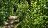 Trail Walking Vesly - vesly Noyers le chêne  - Photo 13