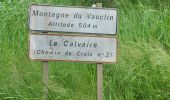 Tour Wandern Le Vauclin - la montagne du Vauclin - Photo 11