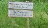 Trail Walking Le Vauclin - la montagne du Vauclin - Photo 11