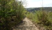 Trail Walking Rives-en-Seine - 20220421-Caudebec en Caux Journée - Photo 16