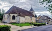 Tour Zu Fuß Moret-Loing-et-Orvanne - La basse vallée du Lunain version 30 km - Photo 3