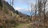 Tocht Stappen Le Versoud - Le Versoud - La Poya - Croix de Revollat - Photo 13