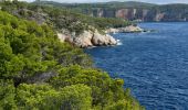 Trail Walking Saint-Cyr-sur-Mer - Port de la Madrague - Pointes Fauconnière, des 3 Fours, du Défends, des Termes et des Engraviers - Bandol - Photo 9