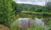 Trail Walking Montigny-le-Tilleul - Balade de Landelies à l'abbaye d'Aulne - Photo 17