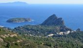 Excursión Senderismo Cassis - Pas de la Colle - Falaises Soubeyranes - Sémaphore du Bec de l'Aigle - Anse de Figuerolles - Parc Mugel - La Ciotat - Photo 3