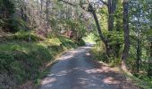 Tour Wandern Montferrer - montferrer . El castel . Puiq de volafort .. retour par la piste  - Photo 3