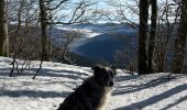 Trail Walking Stosswihr - Les 3 Fours - col de la Schlucht - Photo 9