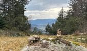 Randonnée Marche Le Tholy - Sentier de la Roche Au Blaireau depuis le gîte  - Photo 13
