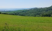 Trail Walking Saint-Laurent-d'Agny - 69-CHAPELLE_VINCENT_20km555m - Photo 12