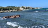 Randonnée Marche Rogliano - Cap Corse Macinaggio à Barcaggio, via tour d’Agnello - Photo 1