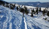 Tour Skiwanderen Lans-en-Vercors - Lans en Vercors par combe oursiere  - Photo 1