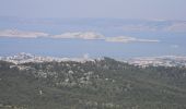 Tocht Stappen Marseille - PF-Les calanques - Le Mont Puget - Photo 14