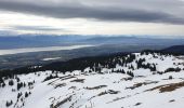 Excursión Raquetas de nieve Divonne-les-Bains - La Dole alt 1676m en raquette - Photo 16