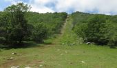 Randonnée Marche Le Broc - Mouton d'Anou en boucle depuis le Broc - Photo 5