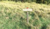 Tour Wandern Aurel - Butte de l'Aigle - Photo 1