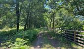 Tour Wandern Pontenx-les-Forges - PONTENX REALISÉ - Photo 6