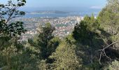 Randonnée Marche Toulon - Autour du Mont Faron - Photo 2