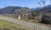 Tocht Stappen Urbès - Urbès HT Marel  - Photo 1