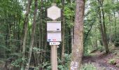 Trail Walking Vresse-sur-Semois - Nancrete - Photo 4